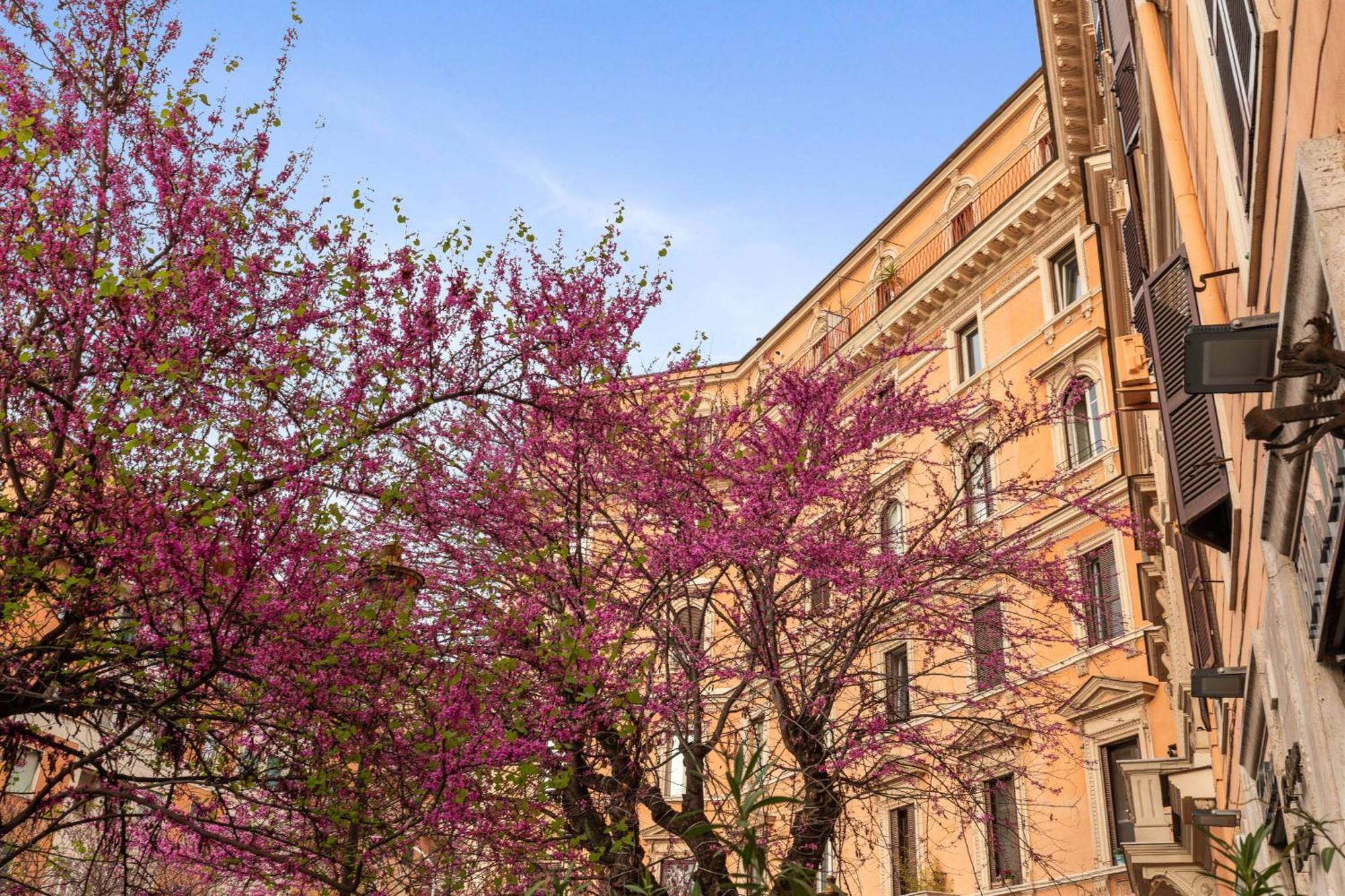Apartment Termini Station Lightsome 3br Rom